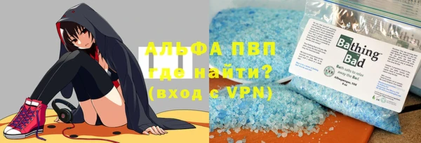 дмт Богданович