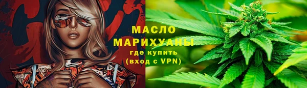 дмт Богданович